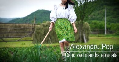 Alexandru Pop - Când văd mândra aplecată Versuri
