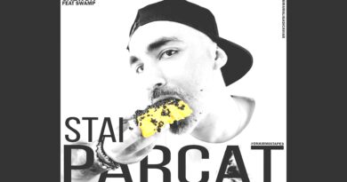 Cabron feat. Swamp – Stai parcat