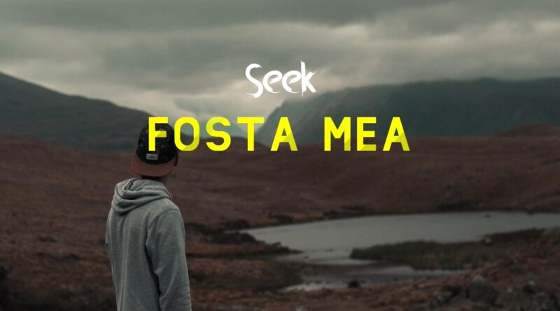 Seek - Fosta Mea, Versuri