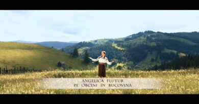 Angelica Flutur - Pe obcini in Bucovina Versuri