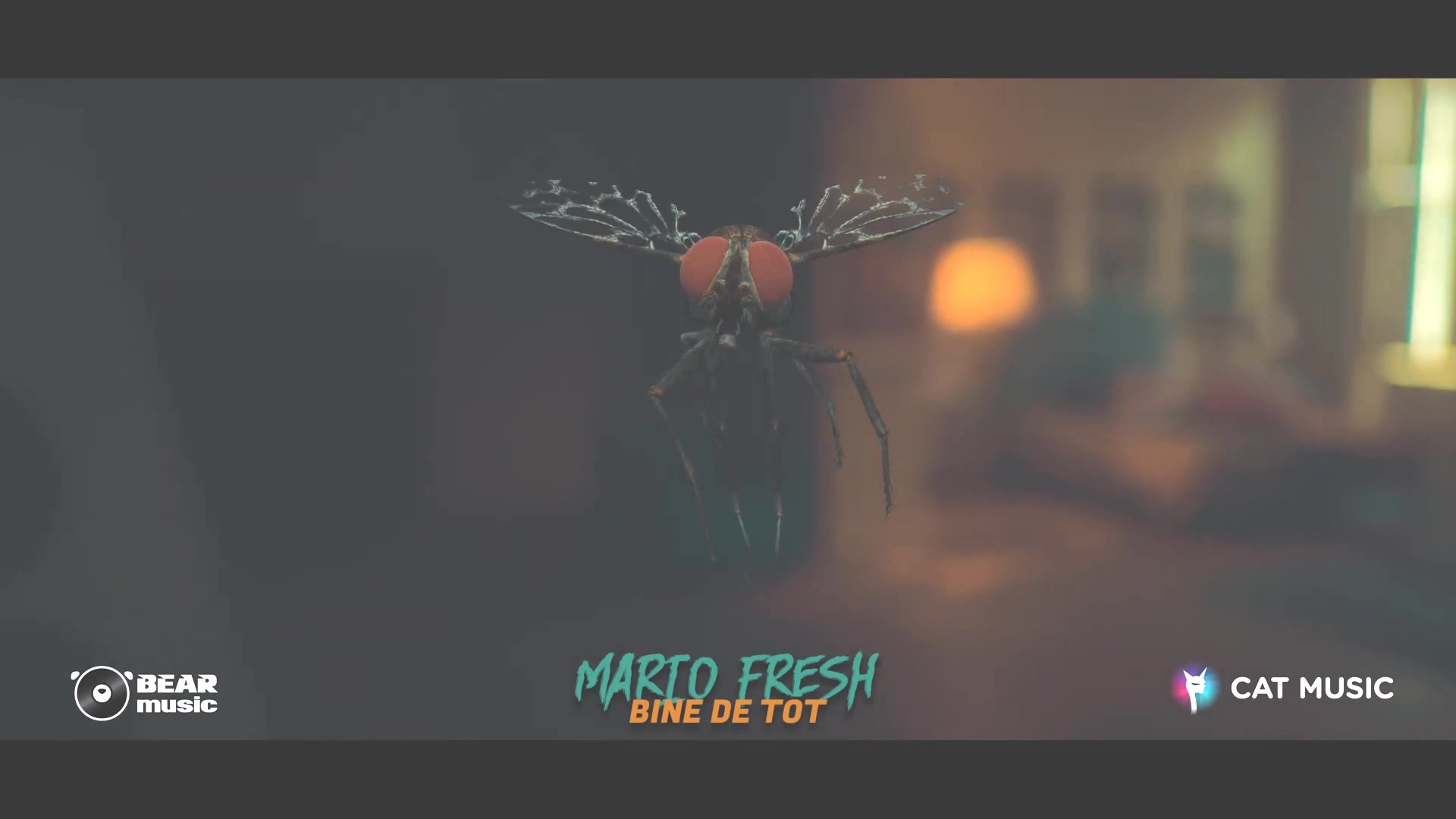 Mario Fresh – Bine de tot - Versuri