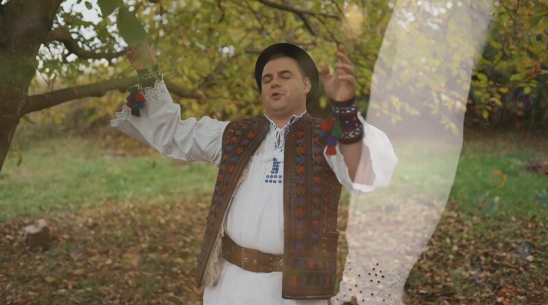 Alexandru Pop - Dintre două nuci pă creangă - Versuri