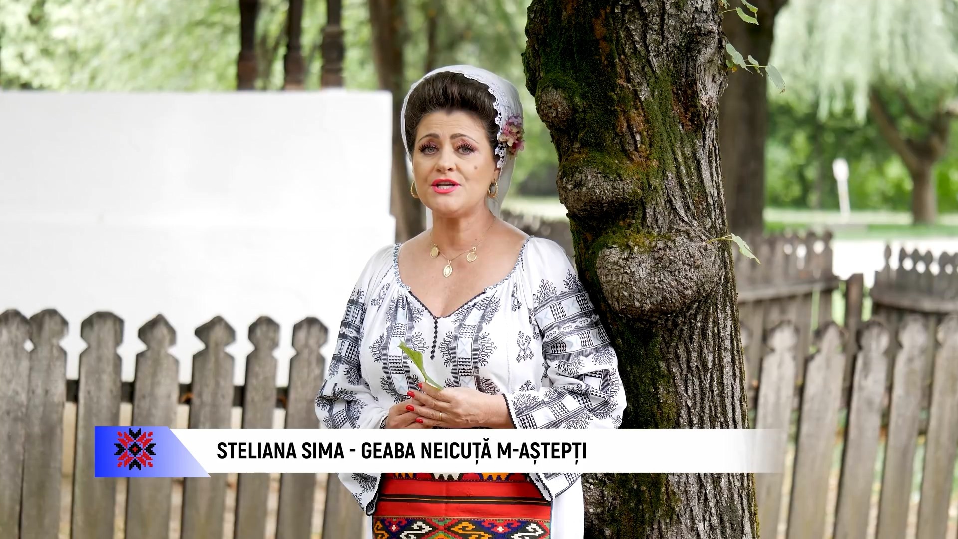 Steliana Sima - Geaba neicuta m-astepti (NOU 2021) - Versuri