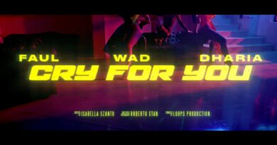 Faul & Wad x Dharia - Cry For You Versuri