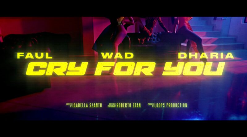 Faul & Wad x Dharia - Cry For You Versuri