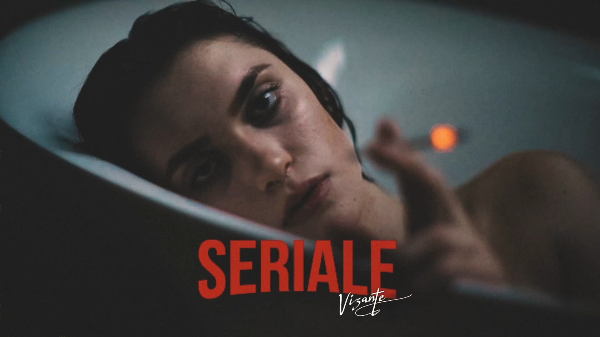 Vizante - Seriale Versuri