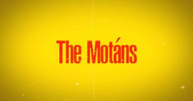 The Motans - Tot ce contează Versuri