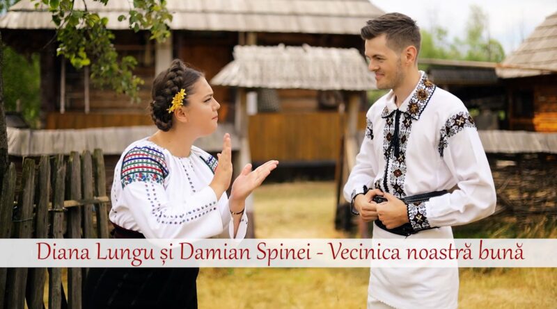 Diana Lungu si Damian Spinei - Vecinica noastra buna Versuri