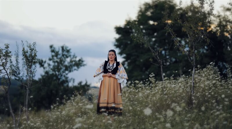 Anca Manoilă - Românu'-i călător Versuri