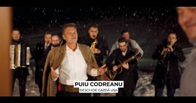 Puiu Codreanu - Deschide gazdă ușa Versuri