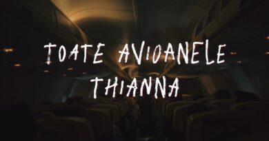 Toate Avioanele Versuri - Thianna