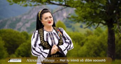 Alexandra Bleaje - Hai tu inima sa dam socoata Versuri